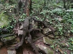 -洛阳白云山景区