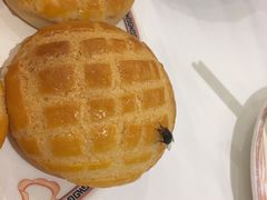 稻香菠萝包-稻香酒家(天河城店)