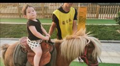 -萌宠亲子动物乐园(槐房万达店)