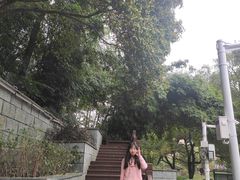 -潜山国家森林公园