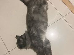 -天津前进宠物医院(前进道店)