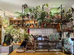 -吉丁鸟咖·异宠·寄养