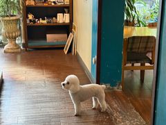 -默迹咖啡馆