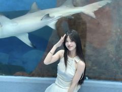-合肥海洋世界