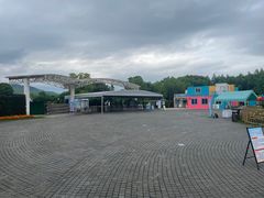 -径山花海