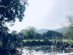 -雨花胜境