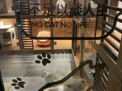 -八公叔叔宠物美容连锁(春申店)