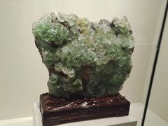 -安徽省地质博物馆