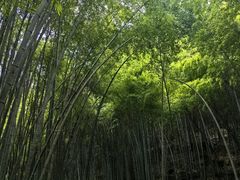 -敬亭山风景名胜区