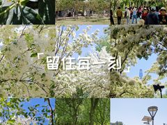 -泰丰公园