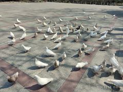 -善卷洞风景区