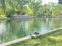 -万柳阁小馆·花园餐厅(龙潭湖店)