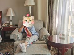 -上海圣淘沙万怡酒店