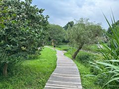 -西溪国家湿地公园