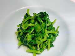 清炒豌豆尖儿-晟永興烤鸭店(五道口店)