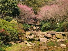 -杭州半山国家森林公园