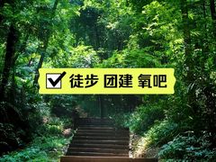 -凤栖山