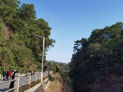 -红花湖景区