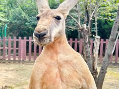 -济南野生动物世界