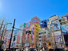 -秋叶原电器街