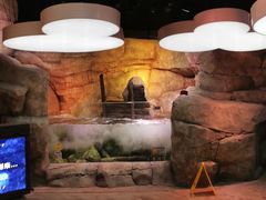 -沈阳海洋探索中心