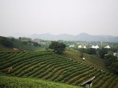 -帐篷客·溪龙茶谷度假酒店