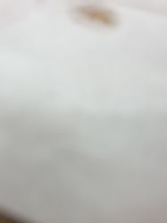 -蓝调造型·烫发·染发