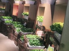 -番食园鲜食火锅(高新店)