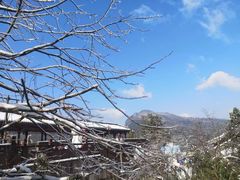 -瓦屋山景区