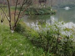 -重庆彩云湖湿地公园