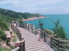 -广东惠东海龟国家级自然保护区