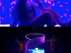 -哈尔滨波塞冬海底世界