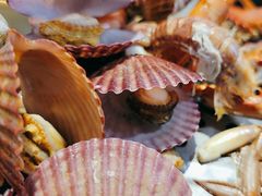 -巧克力渔家.小船海鲜胶东菜(万平口店)