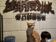 -逃脱反斗城沉浸剧情密室(北京路店)