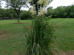 android_upload_pic-艾溪湖湿地公园