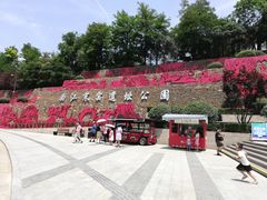 -西安曲江寒窑遗址公园