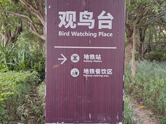 -深圳湾公园(南山区)