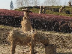 -梁鸿国家湿地公园