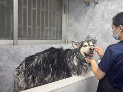-瑞鹏宠物医院华南总院·夜诊·心脏科·骨科