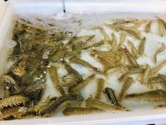 -拉威海鲜市场