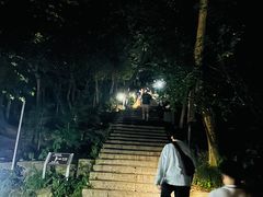 -紫金山山顶公园