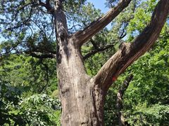 -北京上方山国家森林公园