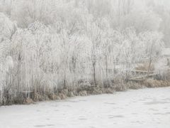 -伊犁河风景区