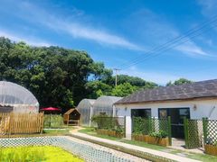 -美家乐农庄·露营·团建(大治路店)