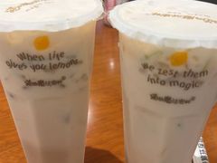 -猫的魔法密林(衣裳街店)