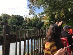 -奥兰多迪士尼动物王国乐园