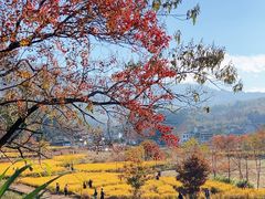 -塔川景区