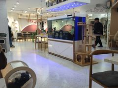 -喵园·猫主题咖啡厅·撸猫·猫咖(国贸店)