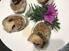 -江户前日本料理(瑞诗酒店店)