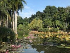 -中国科学院西双版纳热带植物园